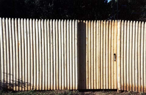 Outside View of Stockade Fence in Pressure Treated Pine 