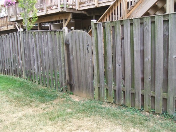 Old/Tattered Pressure Treated Pine Fence