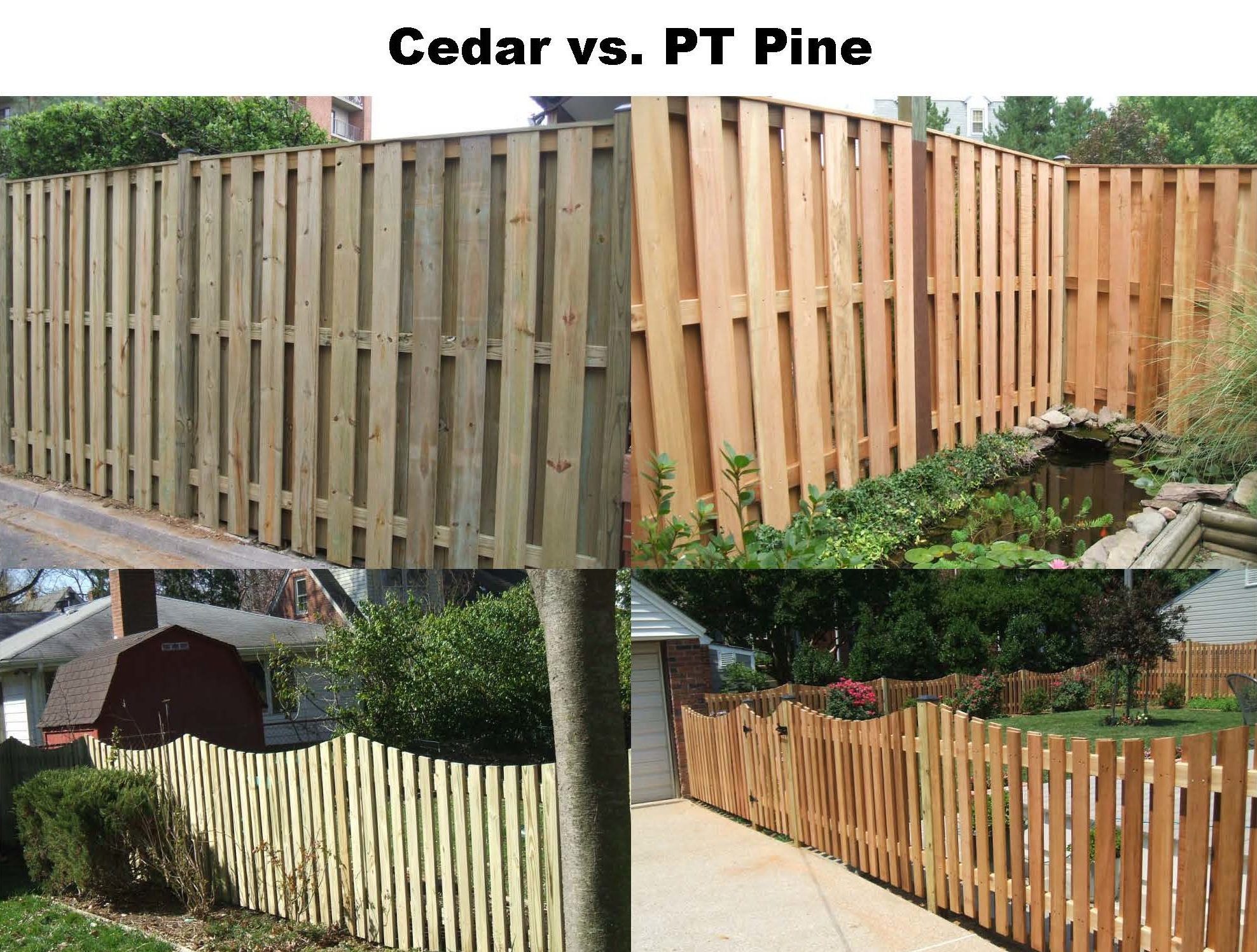Pictured on the left, Pressure Treated Pine - On the right, Western Red Cedar