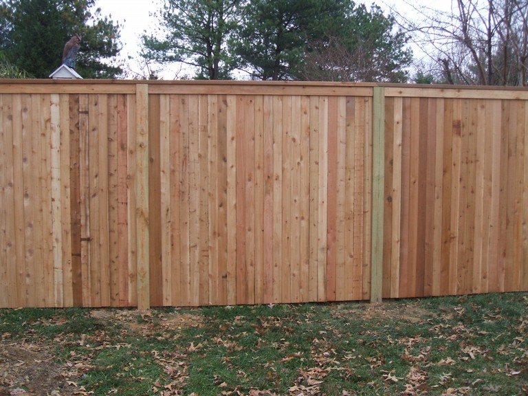 Knotty Western Red Cedar Privacy Fence