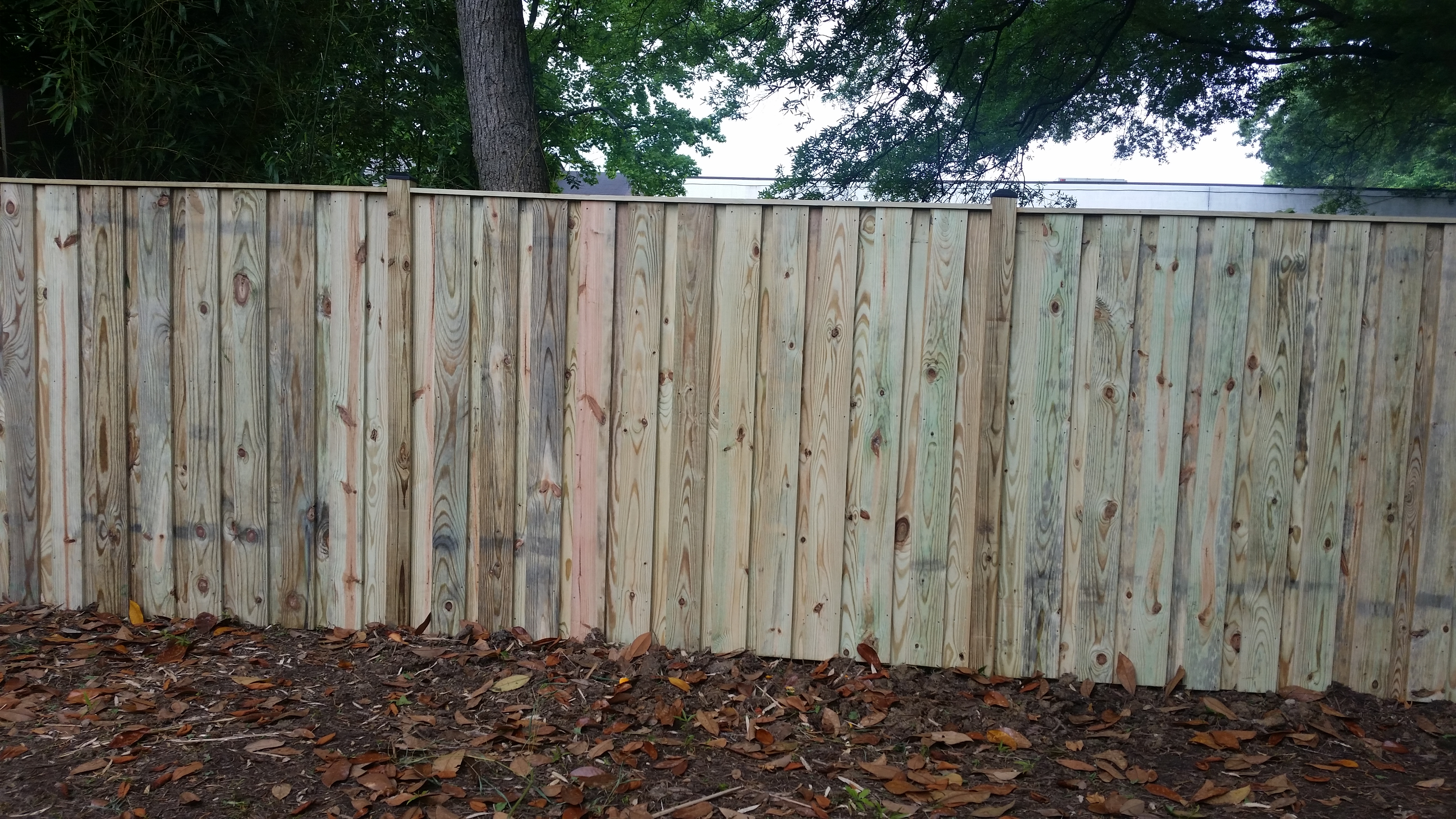 Pressure Treated Pine Fence with 2x4 Cap Board and Black Vinyl Caps