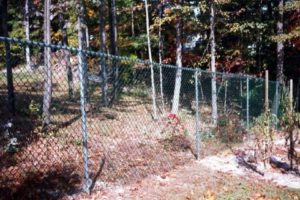 high chain-link